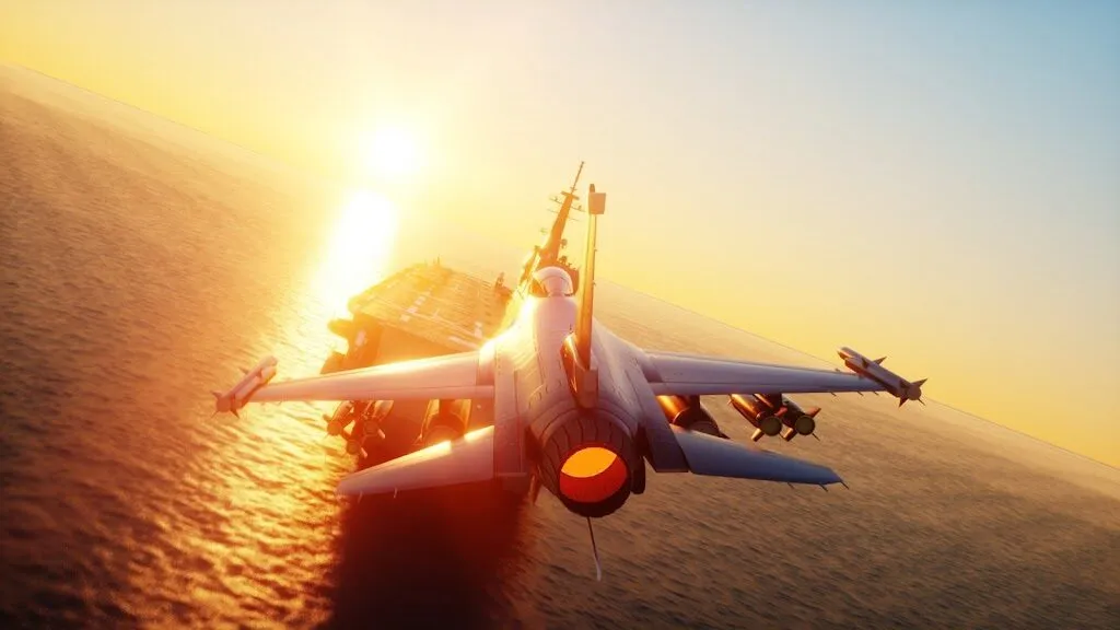 SON-AERO: photo 1