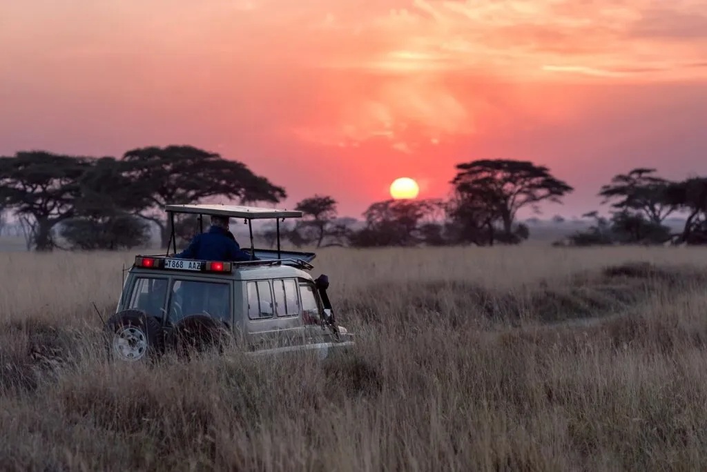 African Safari Destinations
