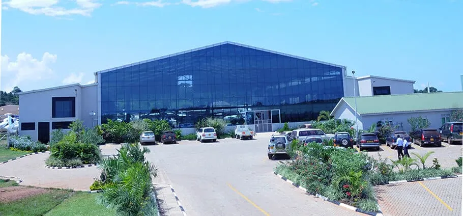 Eagle Air: photo 1