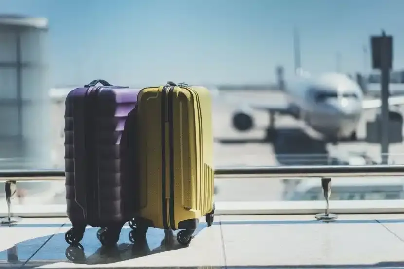 Baggage Allowance and Priority Benefits