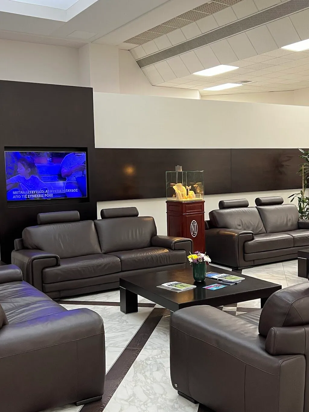 Skylink Services: photo 1