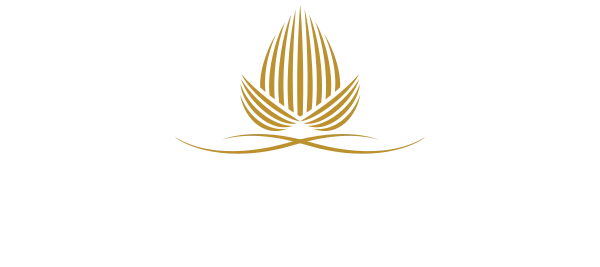 Aamby Valley City logo