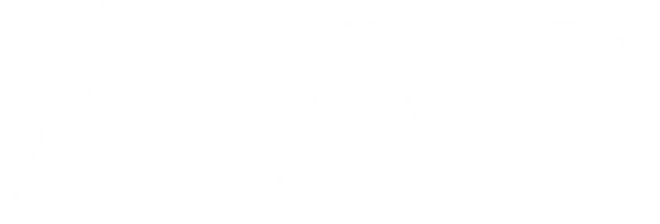 AAP Aviation logo