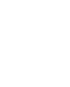 ACI Africa logo