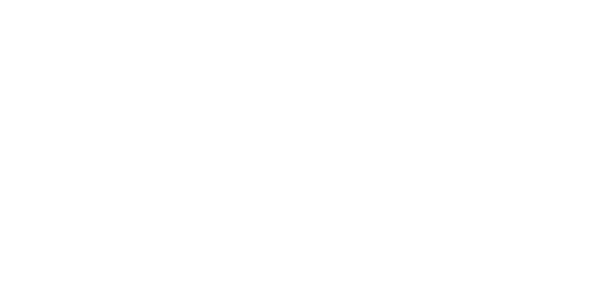 Aero Norway logo