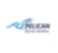 Anjuna Airline Solutions logo