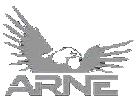 ARNE Aviation LLC logo