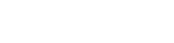 Aviation Safety Solutions logo