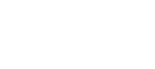 Aviocom logo