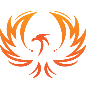 Bit Mapper Integration Technologies Pvt. Ltd - A Phoenix Group Company logo