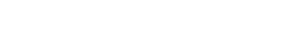 Blunav Technologies logo