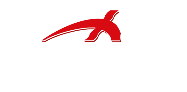 Borrelly logo