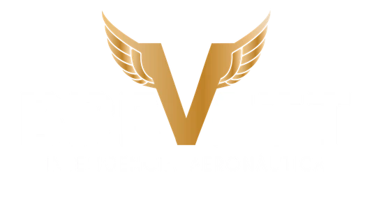 BREVETT Inteligência Aeronáutica Ltda. logo