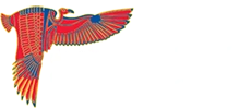Cairo International Airport logo
