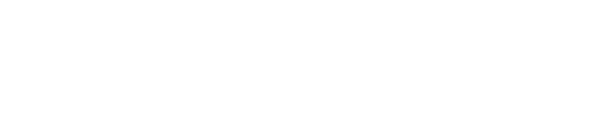 CNW - Courier Network logo
