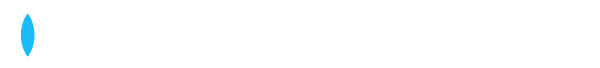 Dallmeier logo