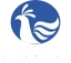 Danphe Private Limited logo