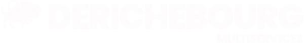 Derichebourg Aeronautics Services logo