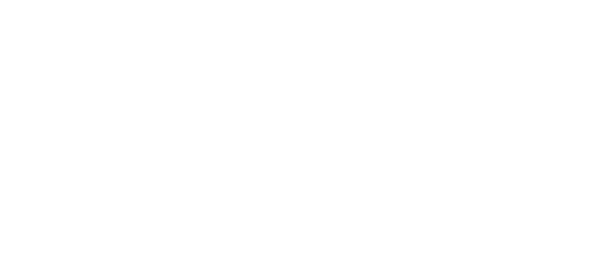 Digital Force Technologies logo