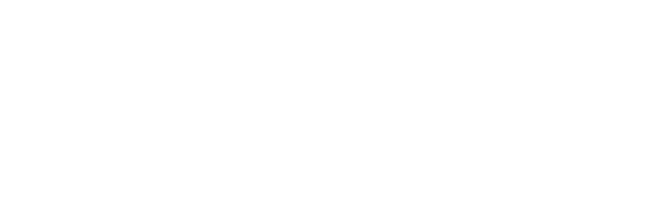 Experience Aviation logo
