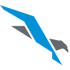 Falcon Airport Services logo