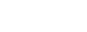 First Flight Forwarders. logo