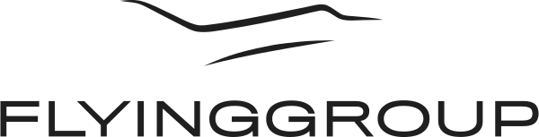 FLYINGGROUP logo