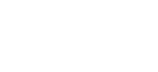 GOODWILL | TAILOR MADE AVIATION logo