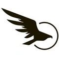 Hawk Aircraft Painting logo