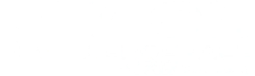 ICON Aerospace (PAG - Precision Aviation Group) logo