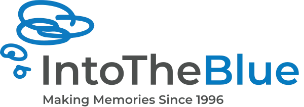 Into The Blue logo