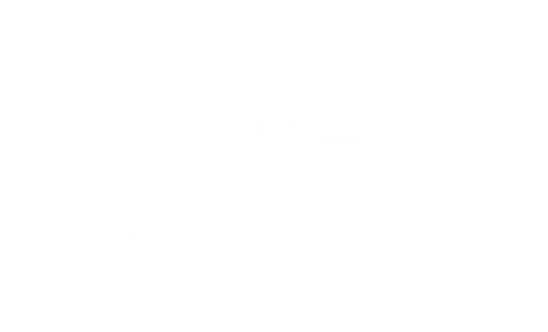 Jetfly Aviation logo