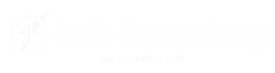 JLG Consulting logo