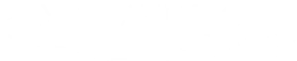 Lyon Aviation logo