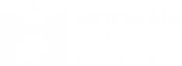 Moon air Aviation logo