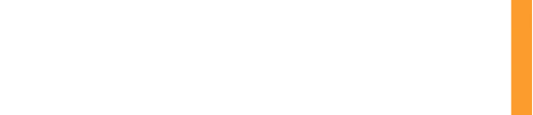 Nelogis logo