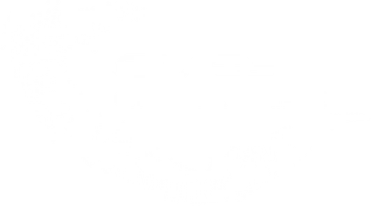 Oves Enterprise logo