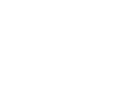 PANH Helicopters logo