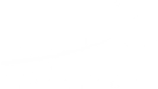 Patey Aviation logo