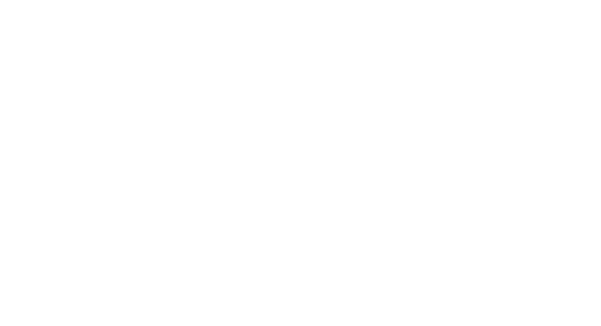 Pavelsis Avionics logo