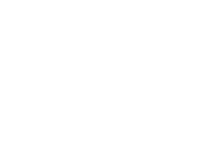 Pegasus Elite Aviation logo