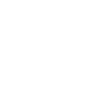 PLH Dublin logo