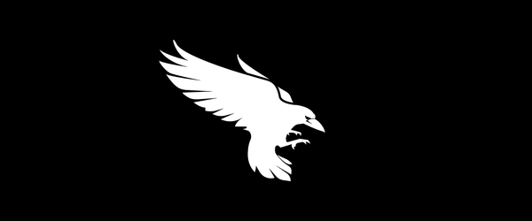 RAVN Aerospace logo