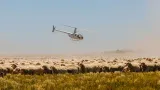 Robinson Helicopter Company