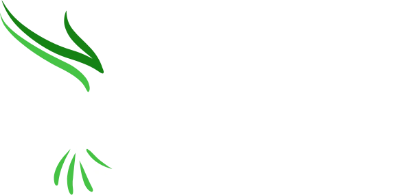Ruddy Nice logo