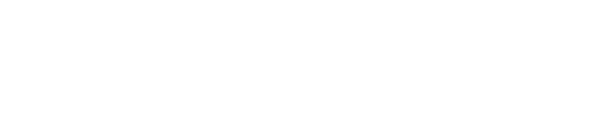 ScaleWings Aircraft logo