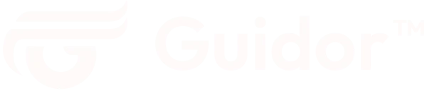 Skyconseil logo