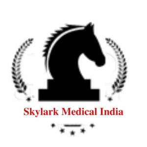 Skylark international aerospace logo