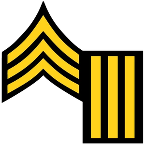 Stripes to Bars logo