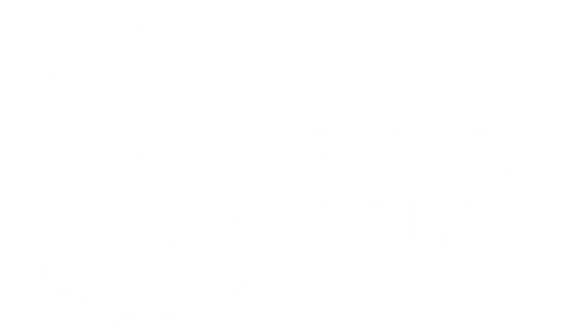 TCI Aircraft Interiors logo